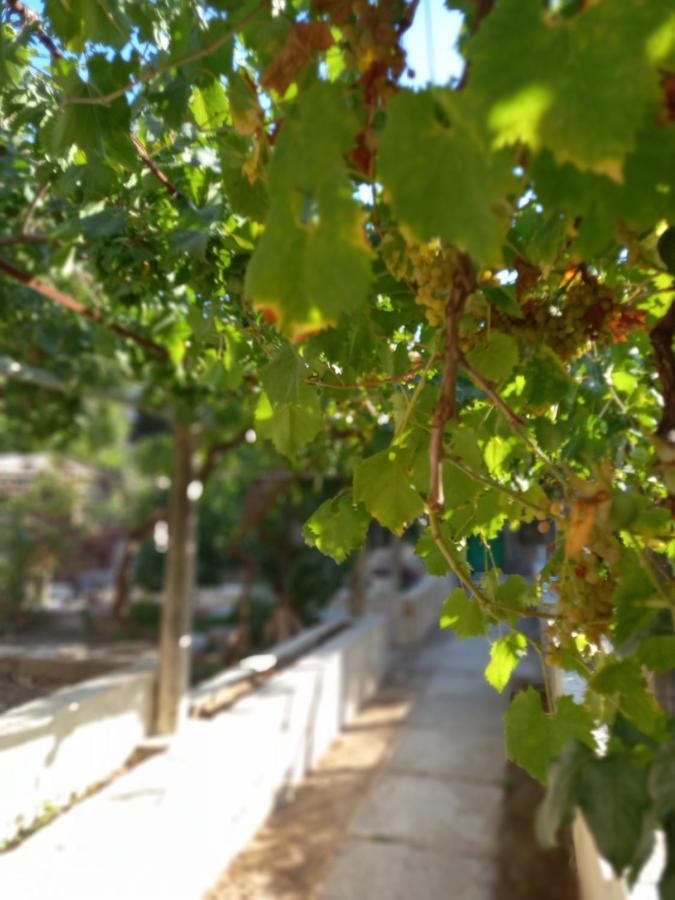 Stone Oasis Vito Lejlighed Dubrovnik Eksteriør billede